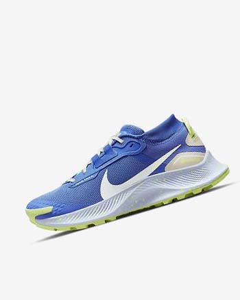 Nike Pegasus Trail 3 GORE-TEX Impermeables Azules Marrom Grises | MX 1185